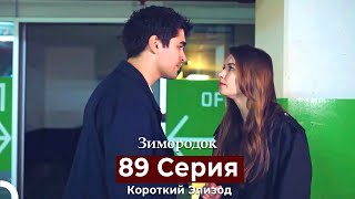 Зимородок 89 Cерия (Короткий Эпизод) (Русский Дубляж)
