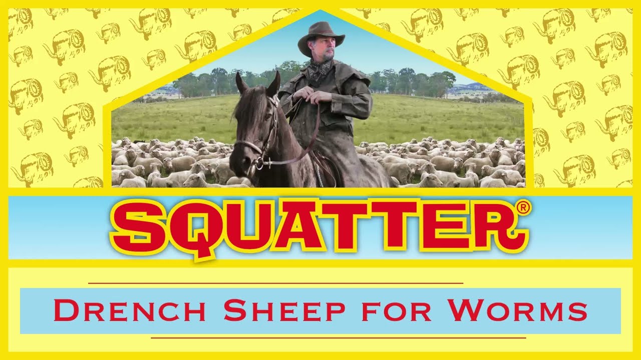Play Squatter - Drench Sheep For Worms