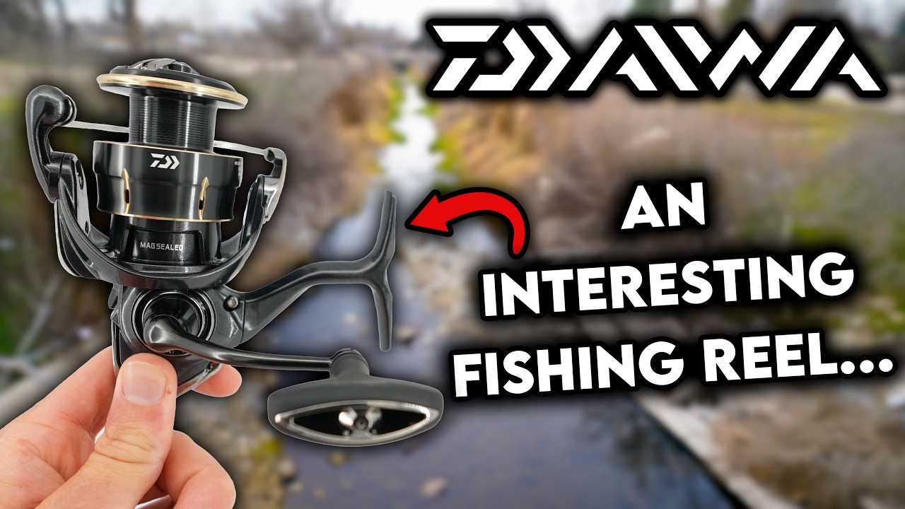 リール Magsealed freams LT 3000S CXH Daiwa Freams LT Spinning Reels - Tackle Warehouse