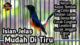 MASTERAN MURAI BATU FULL ISIAN TEMBAKAN CILILIN KENARI SIKATAN LONDO KAPAS TEMBAK CUNGKOK LOVEBIRD