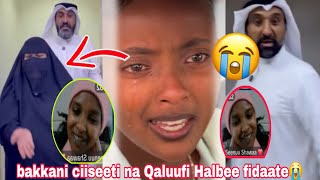 Download Lagu 😭#uuu Ana Qofaatu namota kudhaa15 bulche biyya nama Qaalani ttii na Gurgurtee 🙆♀️ 😭madamii binesa 🥺 MP3 Download Lagu 😭#uuu Ana Qofaatu namota kudhaa15 bulche biyya nama Qaalani ttii na Gurgurtee 🙆♀️ 😭madamii binesa 🥺 MP3