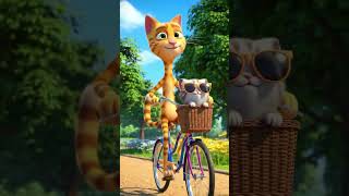 Aya Bak Yıldıza Bak Ikedi