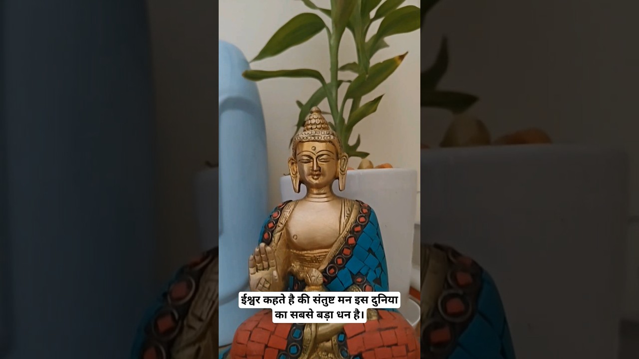 Budha statue from Amazon ✨/ link is in the comments ✨ must buy 