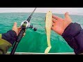 UNEXPECTED Giant Dinosaur Fish Caught While Muskie Fishing || Lake Saint Clair Musky Battle