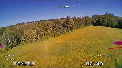 Fatshark Shark Byte Tadpole 2.5