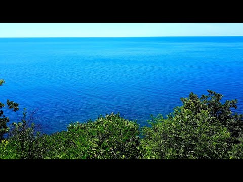 Музыка, море, горизонт / Всё что нужно для счастья😍