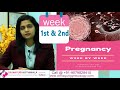 Pregnancy के 1, 2 weeks में क्या होता है, क्या करना चाहिए, शिशु का विकास, क्या खाना चाहिए in Hindi