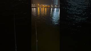 Podziękowania Dla Michała Ze Szczecina