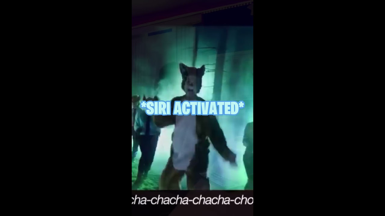SIRI WHAT DOES THE FOX SAY Shorts Whatdoesthefoxsay