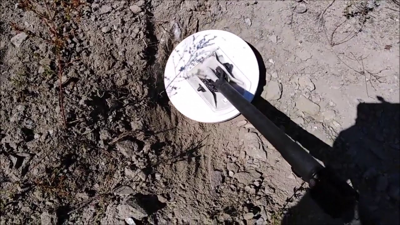 Gold found with the 10 Inch X coil on the GPZ 7000