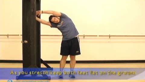 BruinStretch - Static Side Body Reach and Hold Wall, UCLA