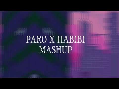 Paro X Habibi