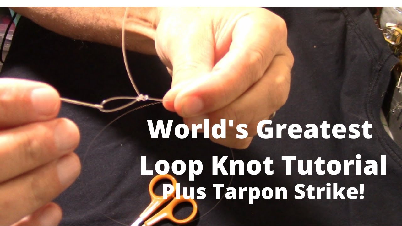 World's Greatest Loop Knot Tutorial Plus Tarpon Strike! YouTube