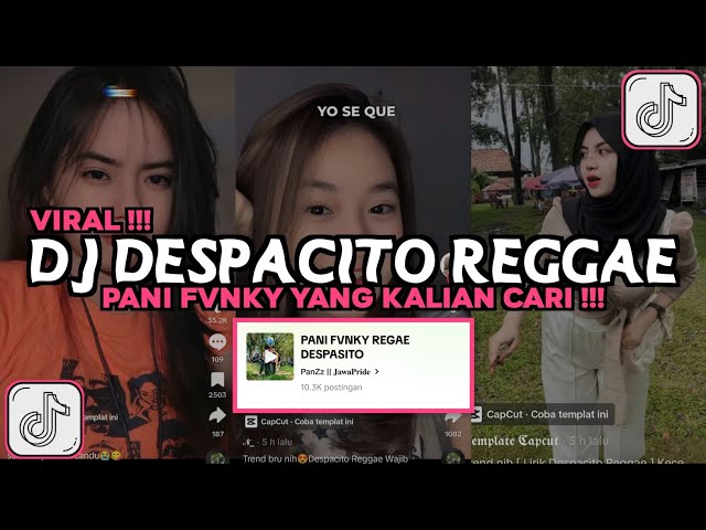 DJ DESPACITO REGGAE PANI FVNKY VIRAL TIKTOK 2024 class=