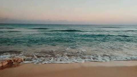 سورة الملك | أسامة الشامى