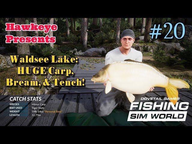 Fishing Sim World - #20 - Waldsee Lake: HUGE Carp, Bream
