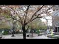 Nakayoshi Park In Yotsuya Near Sophia University Nakayoshi Park In Yotsuya Near Sophia University