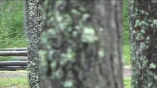 Eveleine Hoppning Trossnäs 2010.Wmv