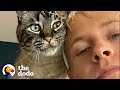 Clingy Cat Has To Be With Dad 24/7 | The Dodo Soulmates