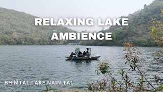 Beautiful Nature Video with Relaxing music