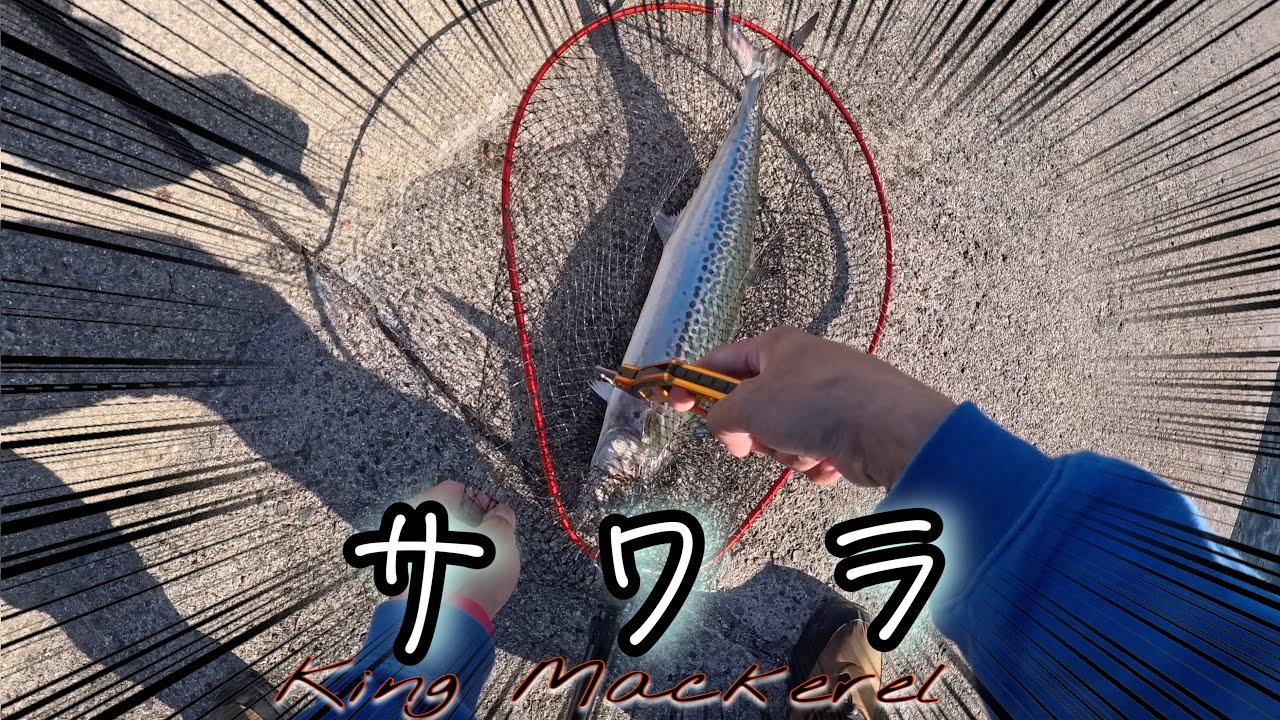 PINOY FISHING IN HIROSHIMA JAPAN AIMING BIG KINGFISH AND KING MACKEREL[瀬戸内海]日本釣り