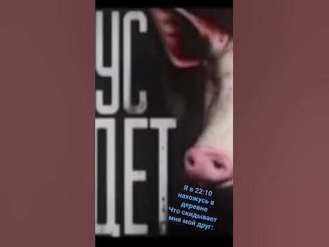 свинтус придет 🐷🔪🩸 - YouTube