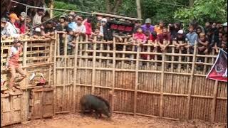 BANYAK YG NONTON KONTES DCC DUGONG CIMARA CUP - SUMEDANG