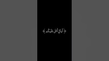 ألم تكن آياتي تتلى عليكم | اسلام صبحي