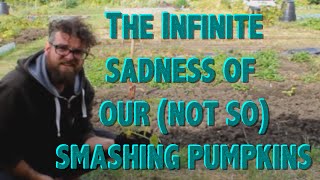 Plot 69 - week 6/7 Planting pumpkins, clearing more of the allotment and missing Terri!