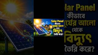 Solar Panel কীভাবে সূর্যের আলো থেকে বিদ্যুৎ তৈরি করে | Solar Panels #didyouknow #science #how #solar