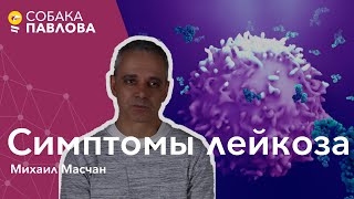 Симптомы лейкоза - Михаил Масчан // клетки крови, кровоточивость, анемия, иммунодефицит
