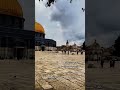 ياريت ما تغيب الفرحة من هاذ الدار ياريت ما تغيب الفرحة من هاذ الدار