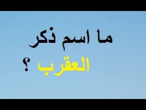 ما اسم ذكر العقرب
