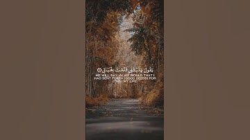 ماتيسر من سورة الفجر للقارئ الشيخ رعد الكردي♥️🌿