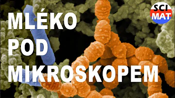 Proč je mléko ošetřeno bílým jogurtem?