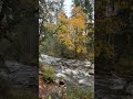 Autumn in Washington #nature #river