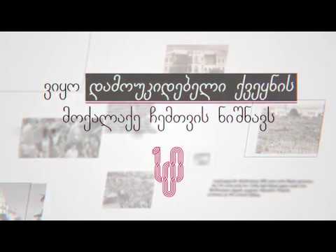 გურიელი თავისუფალი საქართველოსთვის - თაკო დოლაბერიძე