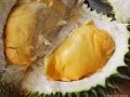 Durian Addiction is Real. Getting High in Malaysia.