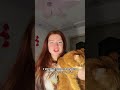 #WW140943 копируй и вставляй на ВБ #рекомендации #pets #уходзаживотным #собака #находкивб