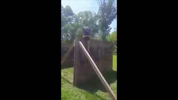 Obstacle Technique: Hardest Wall Obstacle in OCR