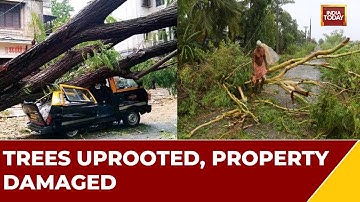 Biparjoy Cyclone: Cyclone Brings Heavy Rains In Bhannagar, Trees Uprooted, Property Damaged