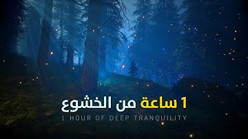 ساعة كاملة من التلاوة الخاشعة – عمر سيلدنيسكي | صوت نقي بدون مؤثرات