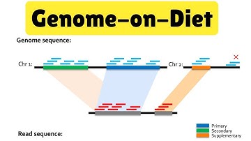 ECOM 6349 | Lecture 5 | Genome-on-Diet & Sparsified Genomics | Prof. Mohammed Alser