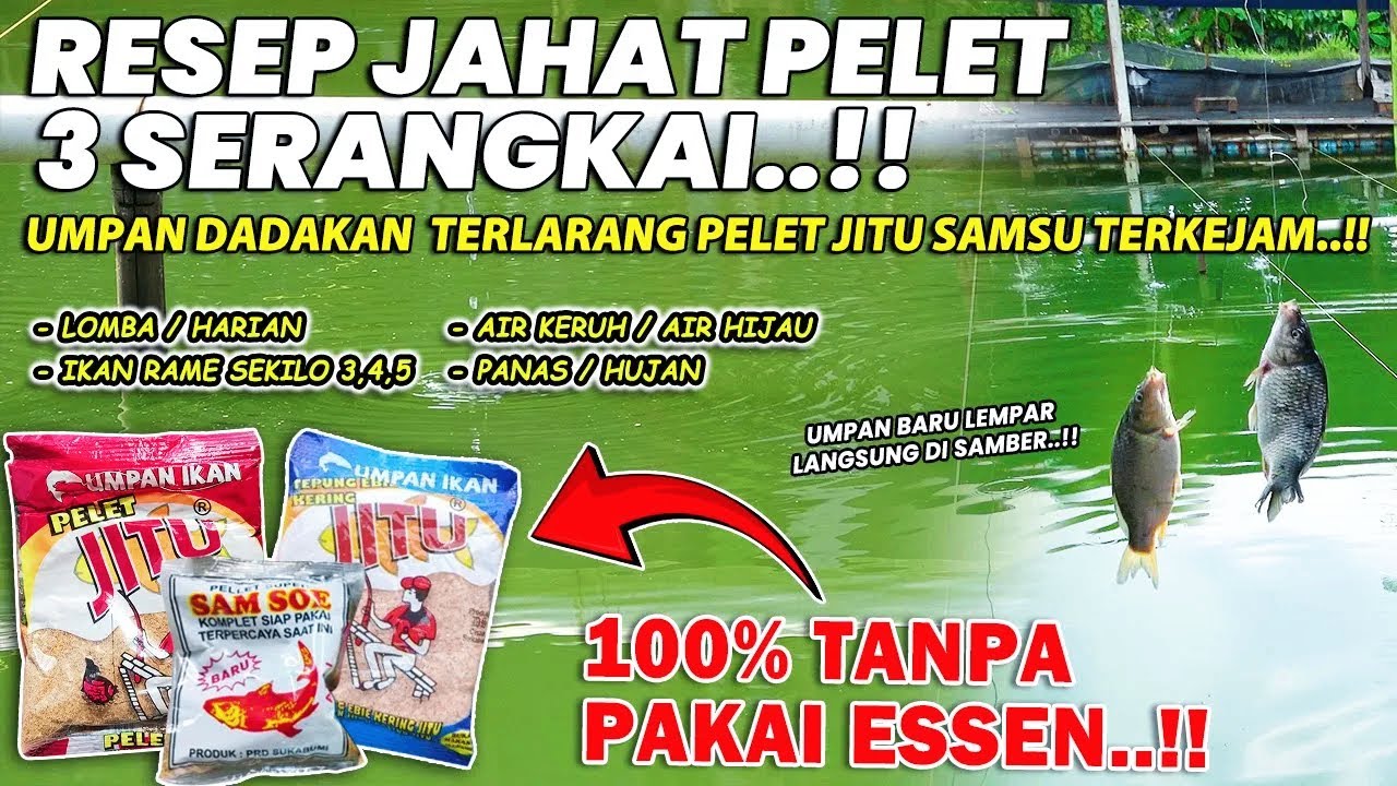 RESEP SADIS UMPAN PELET JITU 3 SERANGKAI !! 100% MURNI TANPA ESSEN IKAN RAME MAKAN LAHAP SIKAT HABIS