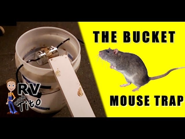 The Best Mouse Trap - The Bucket Trap 