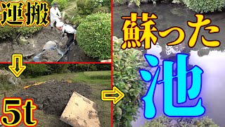 ヘドロだらけだった池が遂に復活