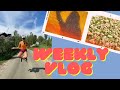 WEEKLY VLOG(VLOG 10)