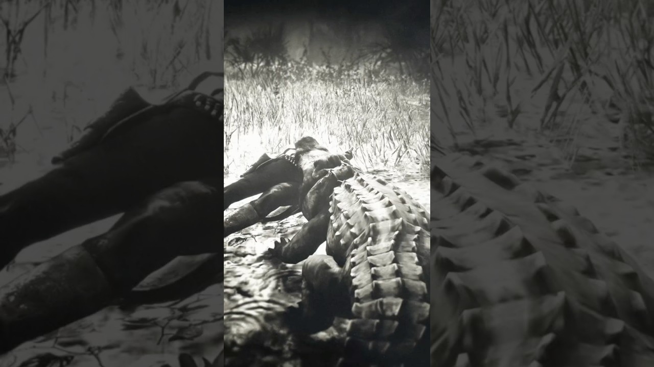 Осторожно, аллигаторы! 🐊 