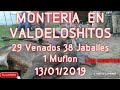 MONTERIA DE JABALI CIERVO MUFLON EN VALDELOSHITOS (BADAJOZ) 13/01/19