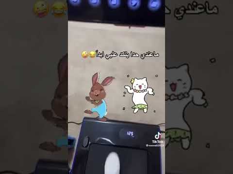 أغنية بحب الناس الرايقة